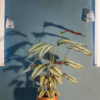 Galerie Loft 3